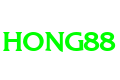hong88g.com favicon